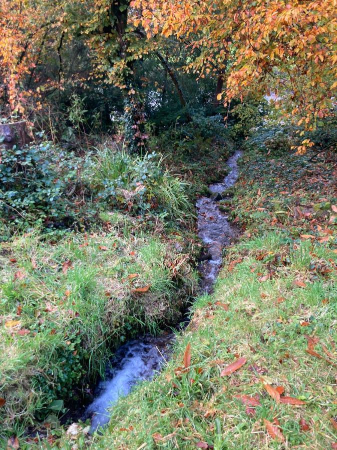 Honey Bee Cabin Llandysul Luaran gambar