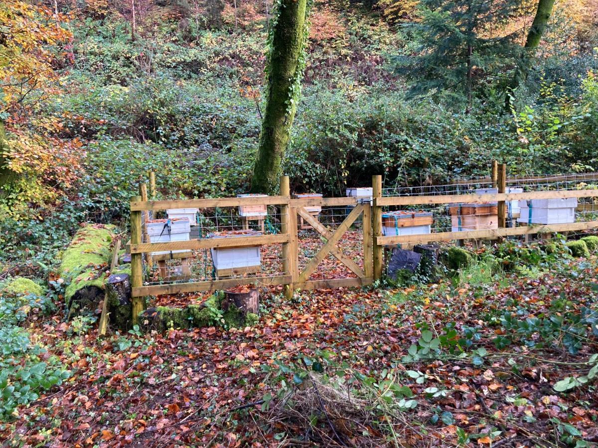 Honey Bee Cabin Llandysul Luaran gambar
