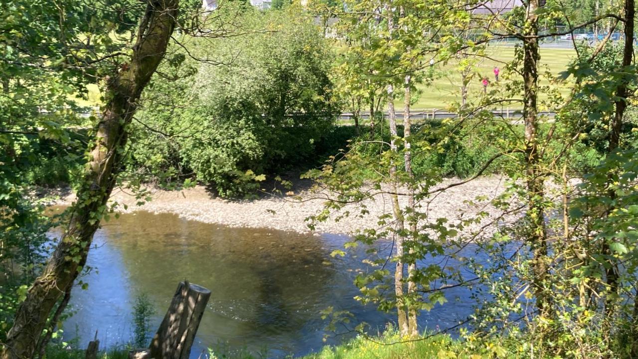 Honey Bee Cabin Llandysul Luaran gambar
